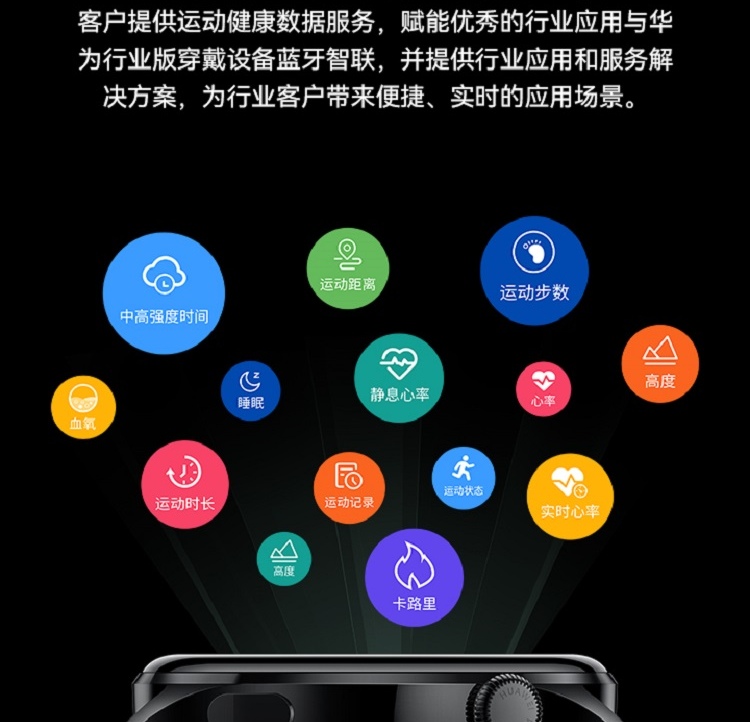 防爆智能手表10