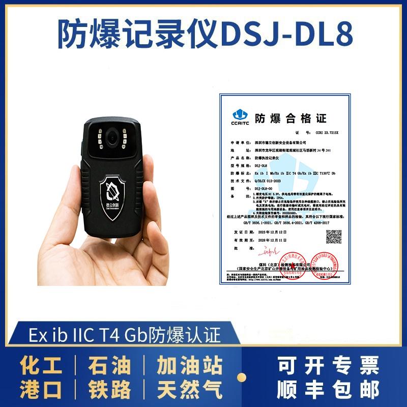防爆記錄儀DSJ-DL8