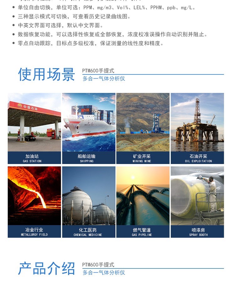 PTM600手提式復(fù)合型氣體分析儀